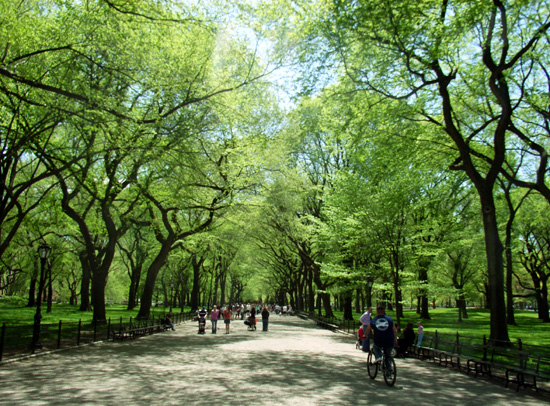 55,670 ニューヨーク 公園