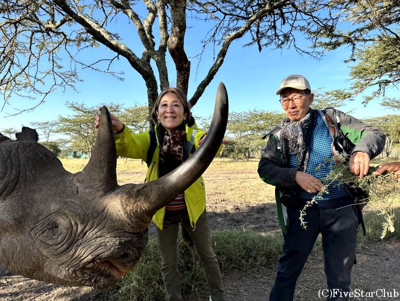 ケニアでサファリツアー体験！アフリカ屈指のサバンナ王国を楽しもう
