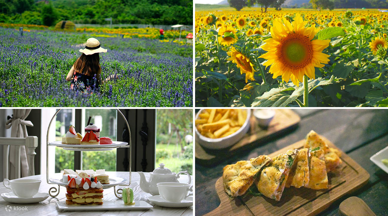タイ予約世界自然遺産・カオヤイ国立公園＋象乗りトレッキング 自然満喫＜1日 ミニトレッキング付き 日本語ガイド
