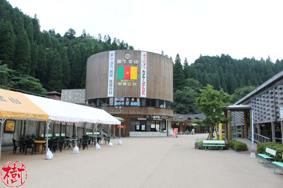 中津江村」の名前を残してくれた“恩人”カメルーンのために変わらぬ声援を送る中津江村民 - We Love Sports