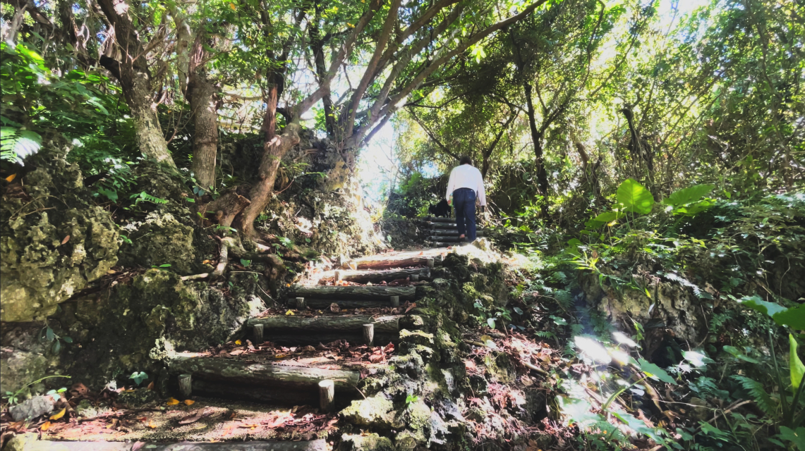 南部の自然体験ランキングTOP10 - じゃらんnet