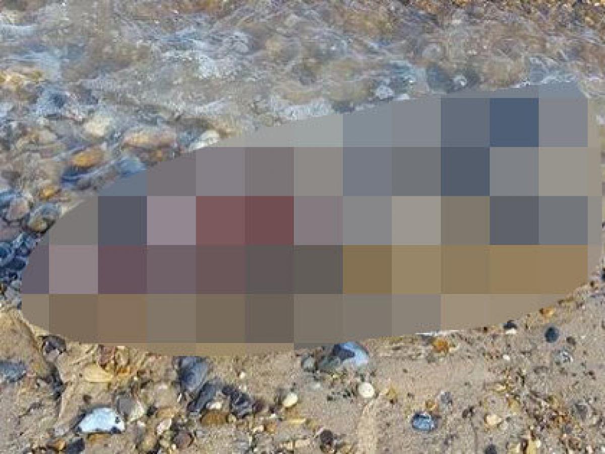 訃報 デビュー60周年 時代を駆け抜けたアイドル、マリアンヌ・フェイスフルの人生に迫るハーパーズ バザー