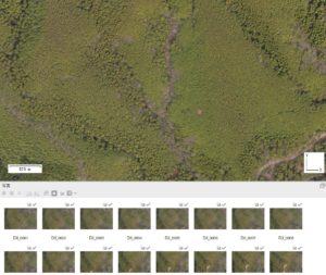 ドローン 測量・点検・調査に必須！『オルソ画像』を簡単解説
