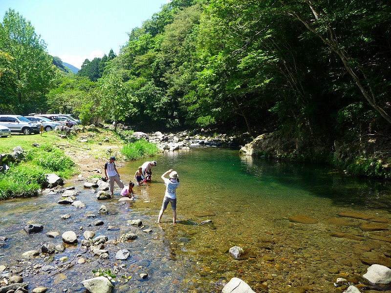 静岡のおすすめ川遊びスポット完全ガイド2025 年のリアルなLemon8ユーザー体験