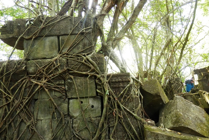まるで物語の世界。カンボジアの「ベンメリア遺跡」が神秘的すぎる！RETRIP リトリップ