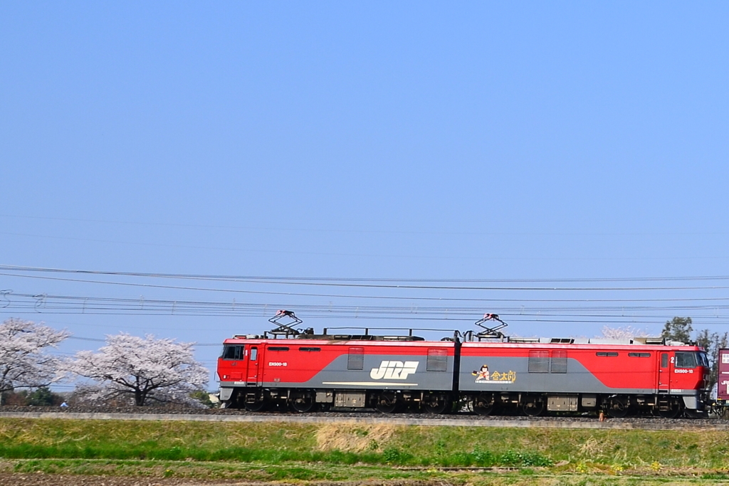 ヒガハス撮影地への行き方 : 支配人のたららんな日々♪