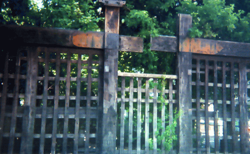 黒門亭・１部の仲入りに出演: 日刊マックニュース