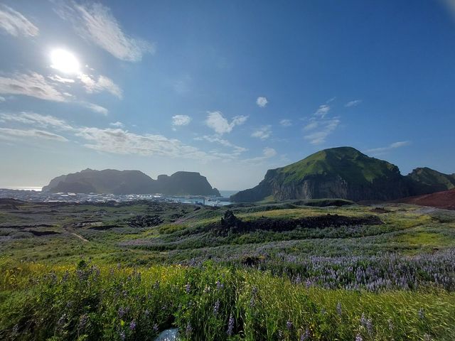 アイスランド発！日本品種のいちごジャムを 限定60個 お届け