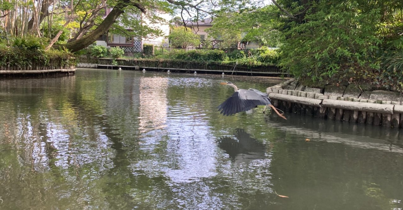 福岡・柳川の冬の川下りが予想以上にスリリングで楽しかった話私はゴリラになりたい