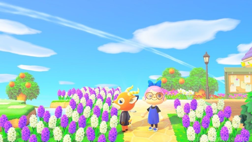 あつ森 島の入り口♡飛行場から案内所への道をおしゃれにレイアウト・島クリエイト - マイミーボックス myme