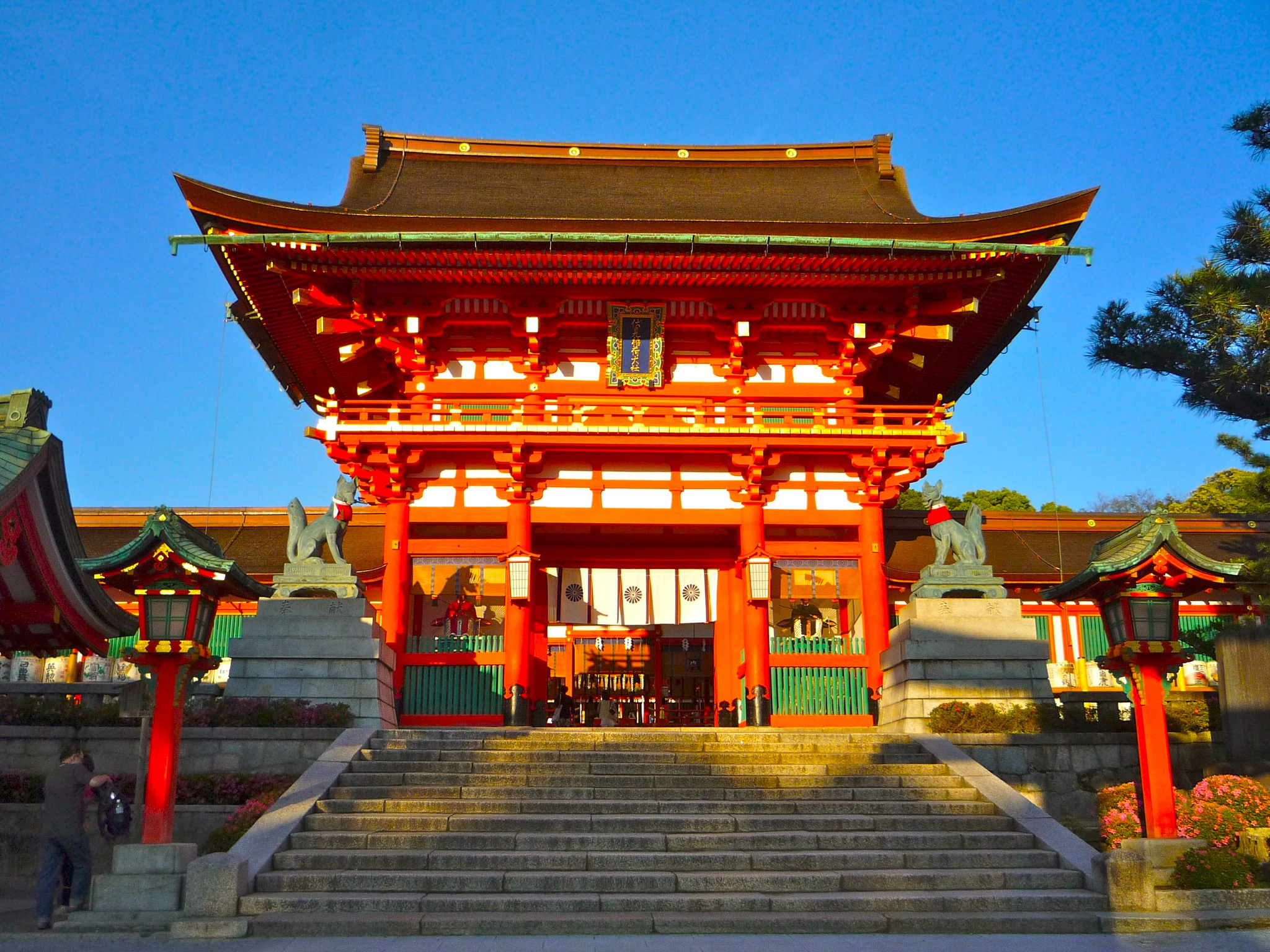 Что посмотреть в