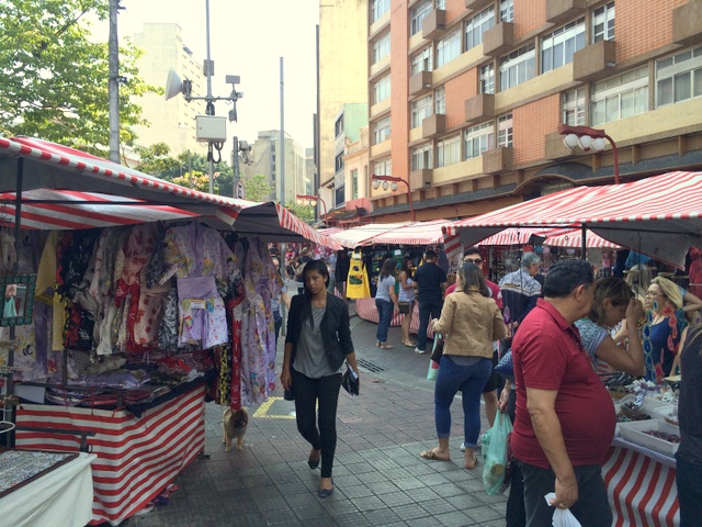 2021年』ブラジルに日系人が沢山住んでいる理由は？日本語は話せるの？移民した人口は何人くらいいるの？Pee Kei Journey