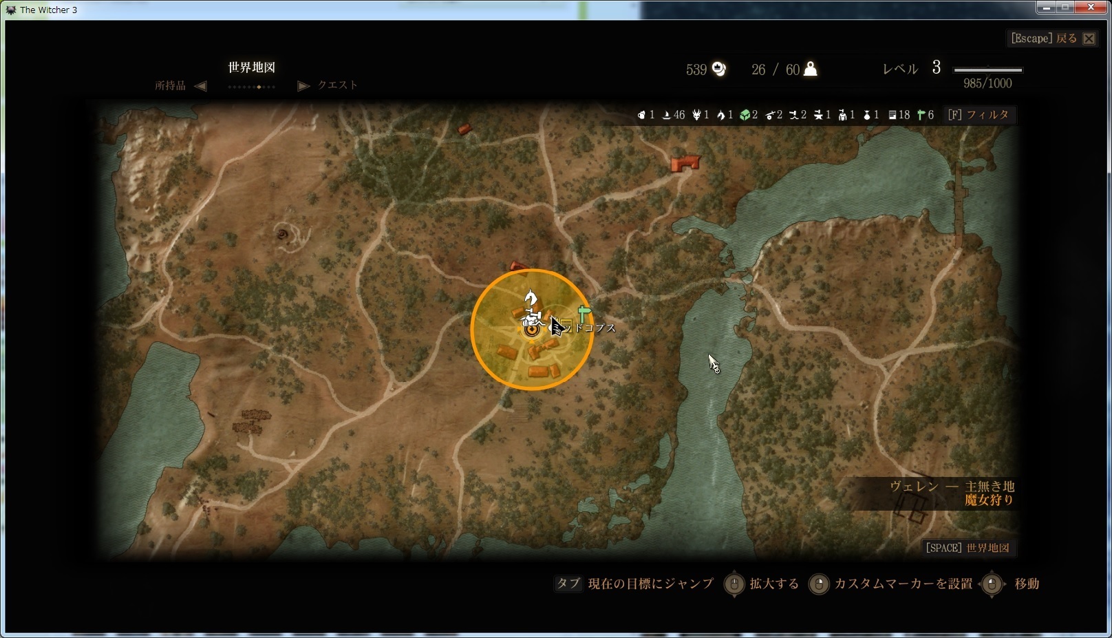 Witcher 3 Wild Hunt Witcher