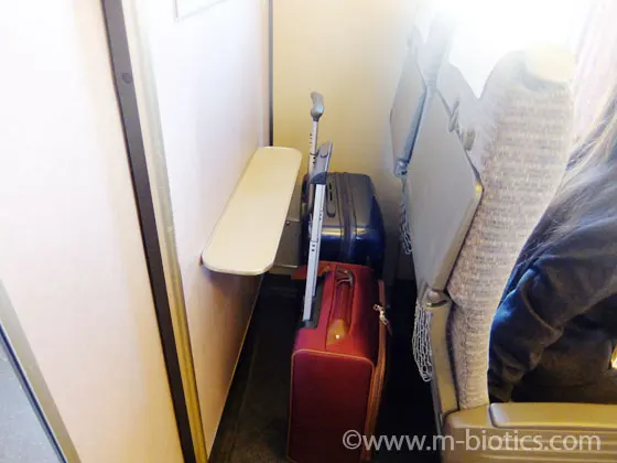 ワイドビューしなのと輪行ぐふとく