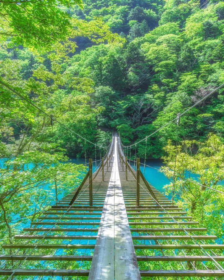 関東 日帰りの女子旅で行きたい！ おすすめモデルコース特集旅行プランは旅色で