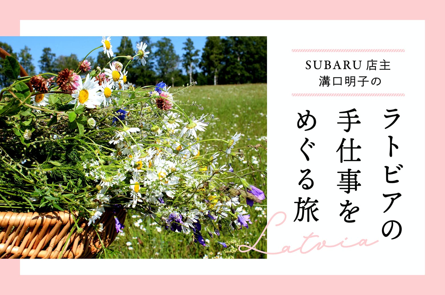 桃鉄ワールド攻略ガイド桃太郎電鉄ワールド ～地球は希望でまわってる！～桃鉄ワールド公式サイト