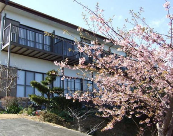 誕生寺の河津桜が満開を迎えました🌸千葉県鴨川市安房小湊満ちてくる心の宿吉夢吉夢5つ星の宿人気温泉旅館ホテル250選誕生寺旅行千葉旅行温泉旅館温泉旅行河津桜温泉宿旅行好きな人と繋がりたい温泉巡り自分へのご褒美家族旅行宴会