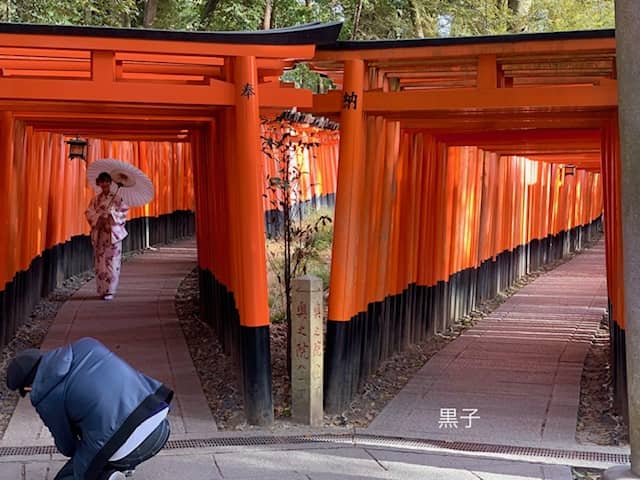 伏見稲荷の中腹で京都市内を望む！イケメン俳優のご実家としても有名な老舗茶屋！「にしむら亭」 - Kyotopiキョウトピ京都情報・観光・旅行・グルメ