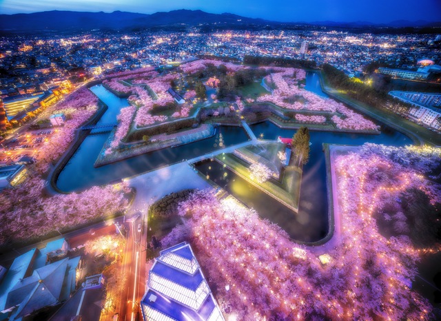 車中泊で行く出雲大社 「参拝パーフェクトガイド」