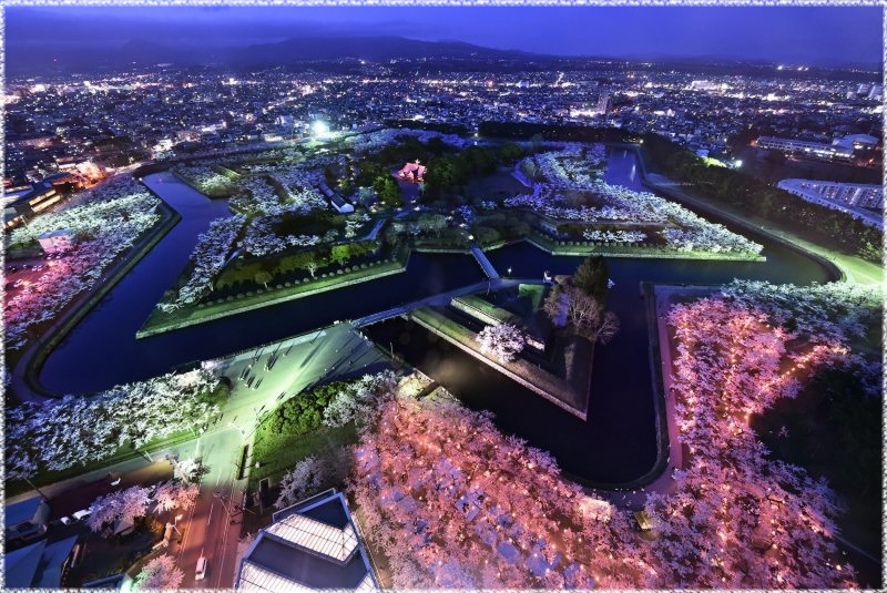 札幌発 五稜郭公園＆松前公園 桜観賞 日帰りバスツアーKlook