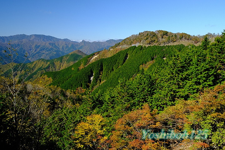 奈良県大台ヶ原をポルシェでドライブ！新緑と絶景を楽しむ旅 - ぽるしぇ日和