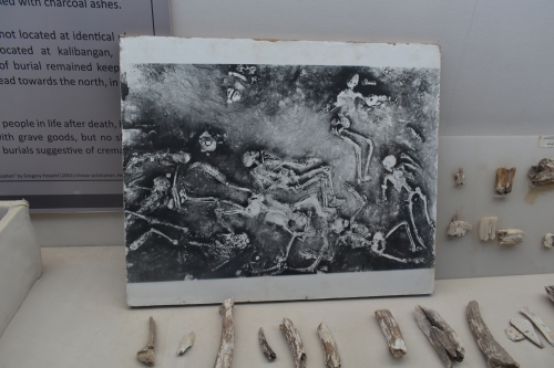 モヘンジョダロ