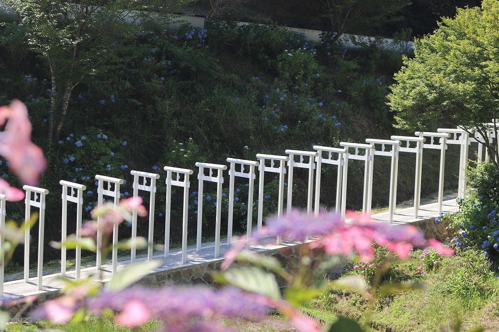 新見市おでかけ情報 済渡寺・白龍門まいぷれ新見市編集部のニュースまいぷれ 新見市