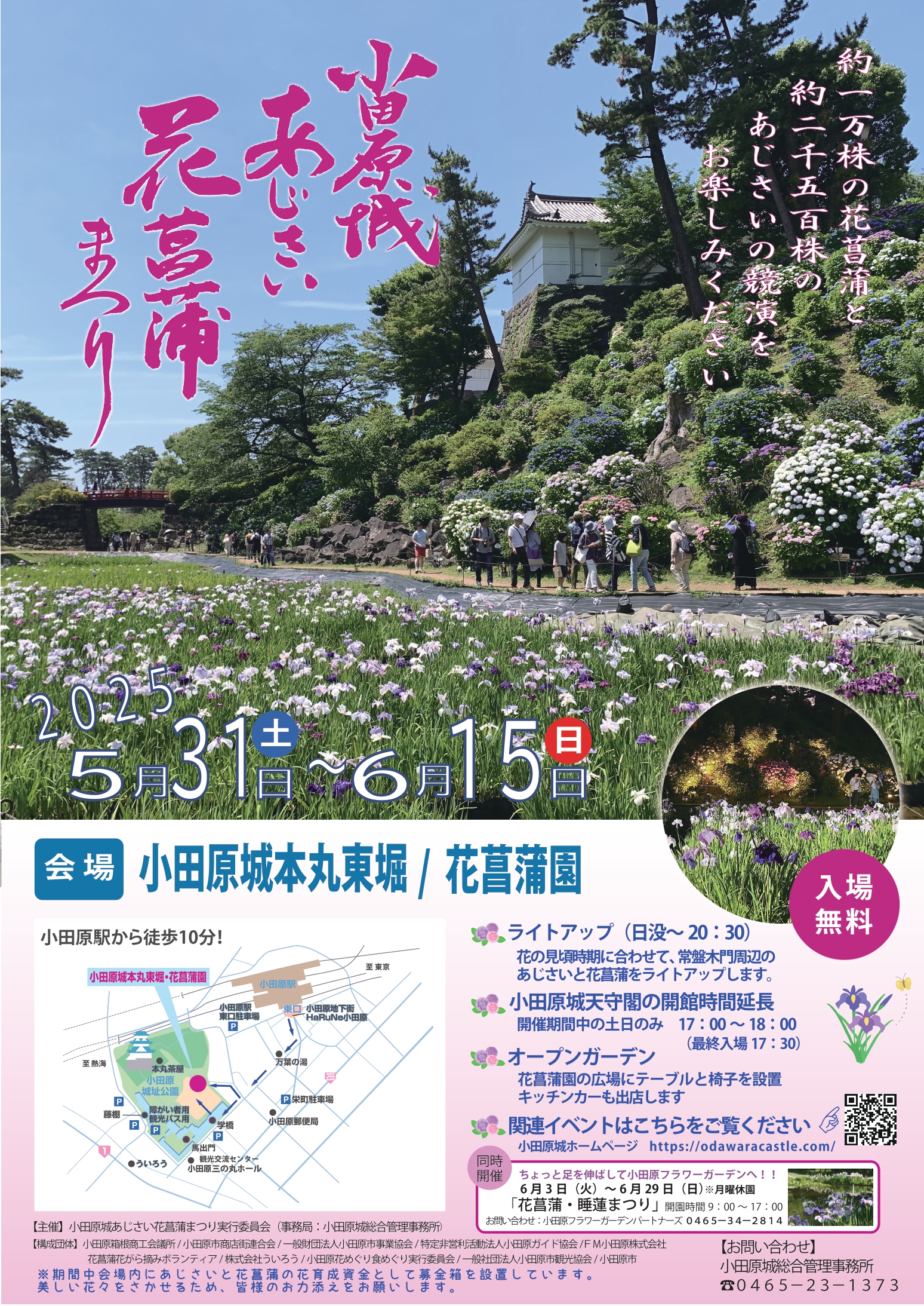 小田原 美しくて見惚れてしまう紅葉を見に行こう！おすすめ6選aumo アウモ