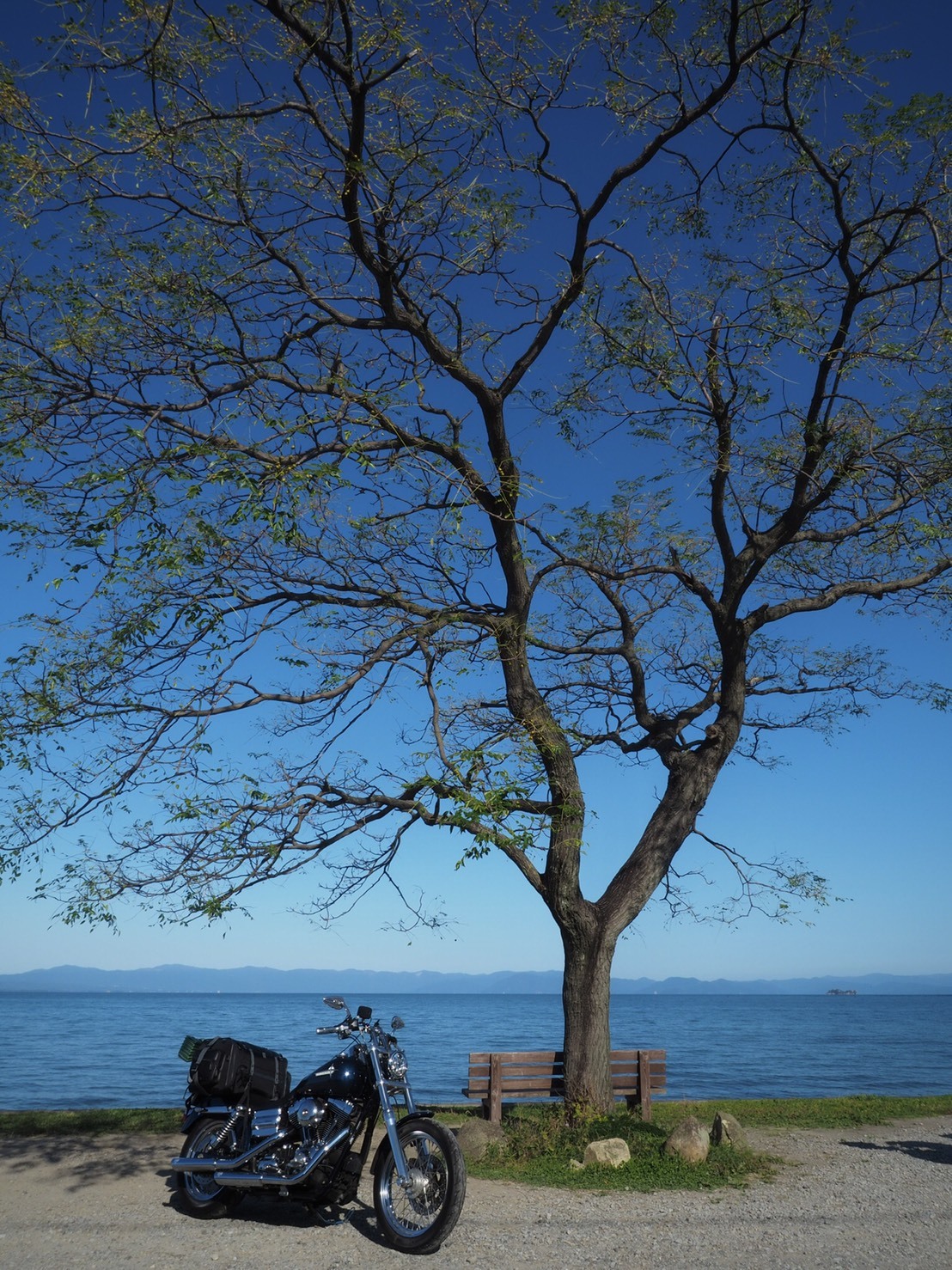 滋賀 草津琵琶湖博物館周辺は地元民も知らない穴場バイク撮影スポットが豊富 – AWA BLOG