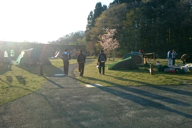 わんちゃんとおでかけ水の森公園キャンプ場でお散歩♪フレンチブルドッグ とらじろうのいる生活