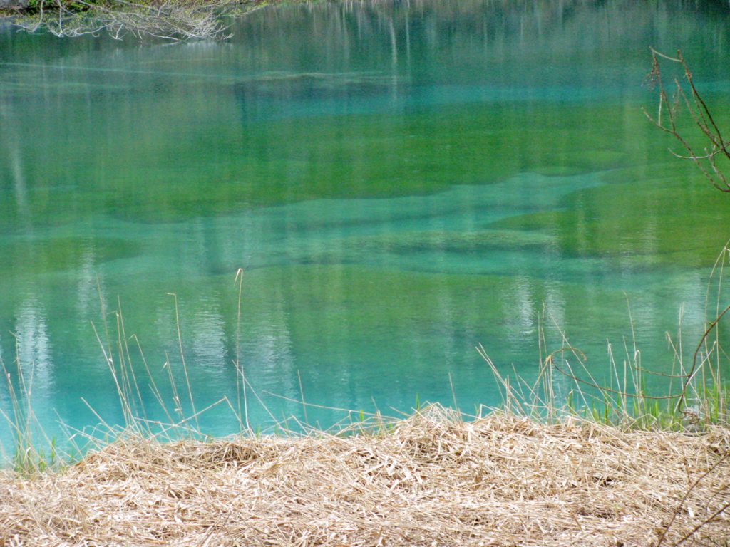五式沼トレッキングで天然色のカラフル沼めぐり＜後編＞ - 岳温泉観光協会公式サイト