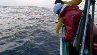 南房総和田漁港 漁師&遊漁船 伝 八 丸@denpachimaru•