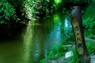 カッパ淵でカッパ釣り体験東北の観光スポットを探す旅東北 - 東北の観光・旅行情報サイト