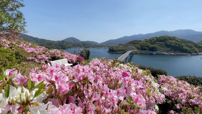 愛媛県宇和島にある「九島大橋」の観光情報