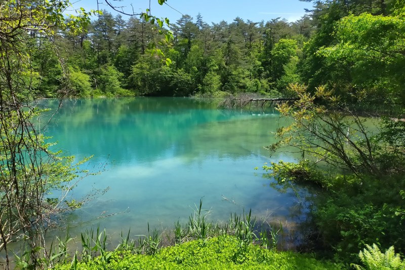 初めての五色沼散策ホテル 裏磐梯レイクリゾート 公式
