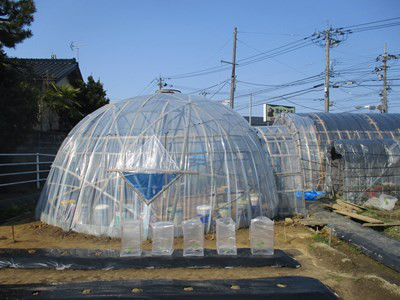 竹”を使った、ドーム型の農業用ハウスあぐりずむ 未来へつなぐあぐりパワー -TOKYO FM