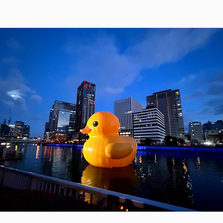 あひるちゃん＊2014 : ちょっくらおさんぽ