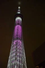 SHIHO、母の乳がん罹患を経て「意識高まった」ピンクリボンデーでドローンショー開催 - 芸能写真ニュース