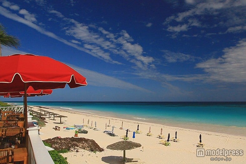 2025年最新 バハマでおすすめの観光地9選！NEWT ニュート