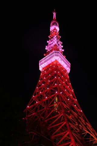東京のシンボル！「東京タワー」楽しみ方ガイド！ 周辺観光スポットやグルメも紹介楽天トラベル