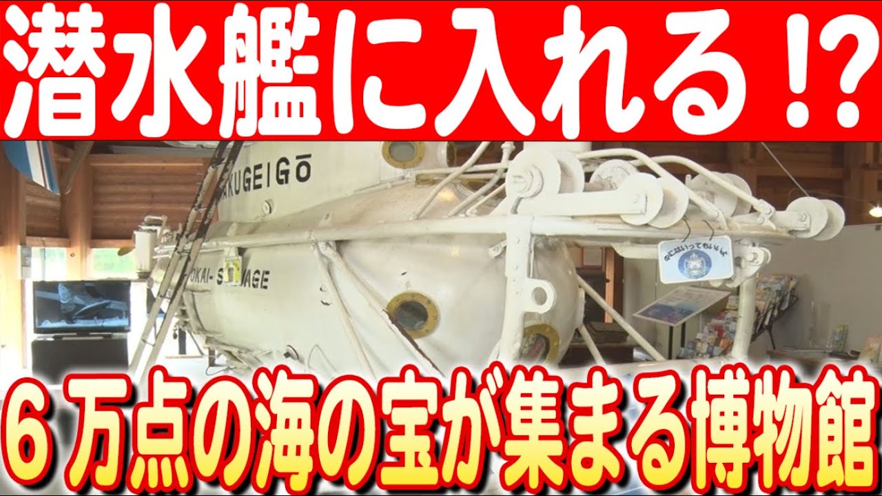 ジェノヴァ水族館、ガラタ海洋博物館、ナザリオ・サウロ潜水艦コンボチケットKlook