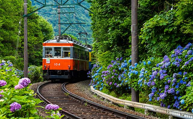 関東の一人旅におすすめの観光スポット16選！日帰りで行けちゃうリフレッシュ旅へ。RETRIP リトリップ