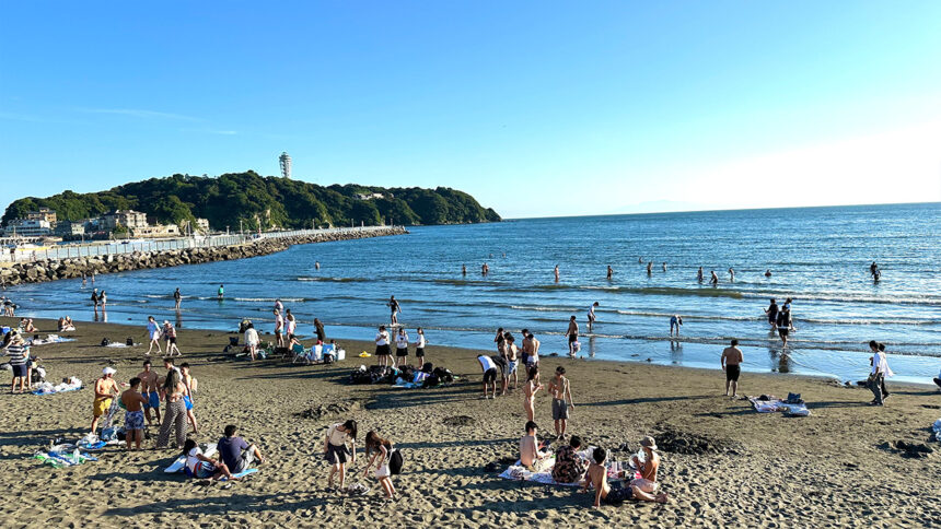 2025年最新 湘南の海ってどこ？おすすめビーチや海水浴場を紹介！NEWT ニュート