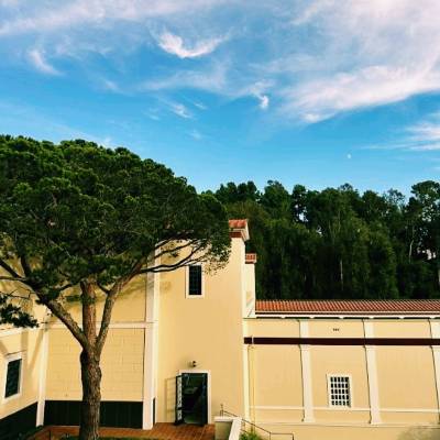 674,285点のグローマンズ・チャイニーズ・シアターの写真と高解像度写真 - Getty Images