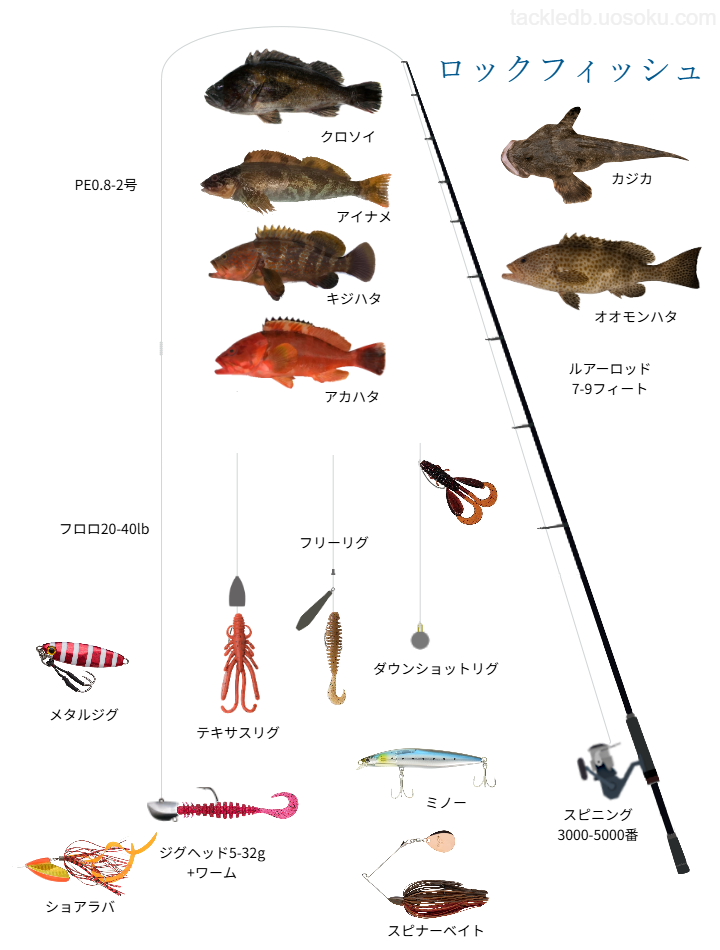 ワクワクな釣り場発見！ 富山市・水橋フィッシャリーナ：中日スポーツ・東京中日スポーツ