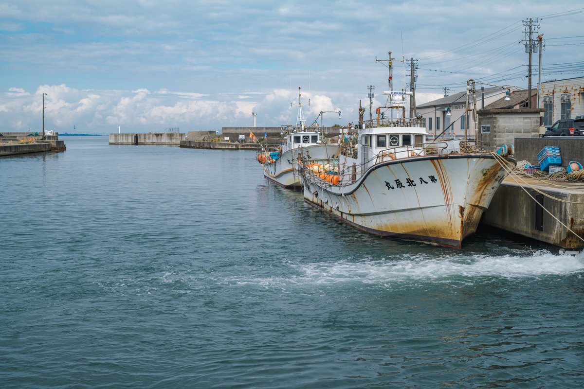 2024 ポップアップテントのおすすめ人気ランキング22選4人用やおしゃれなモデルも - Best One