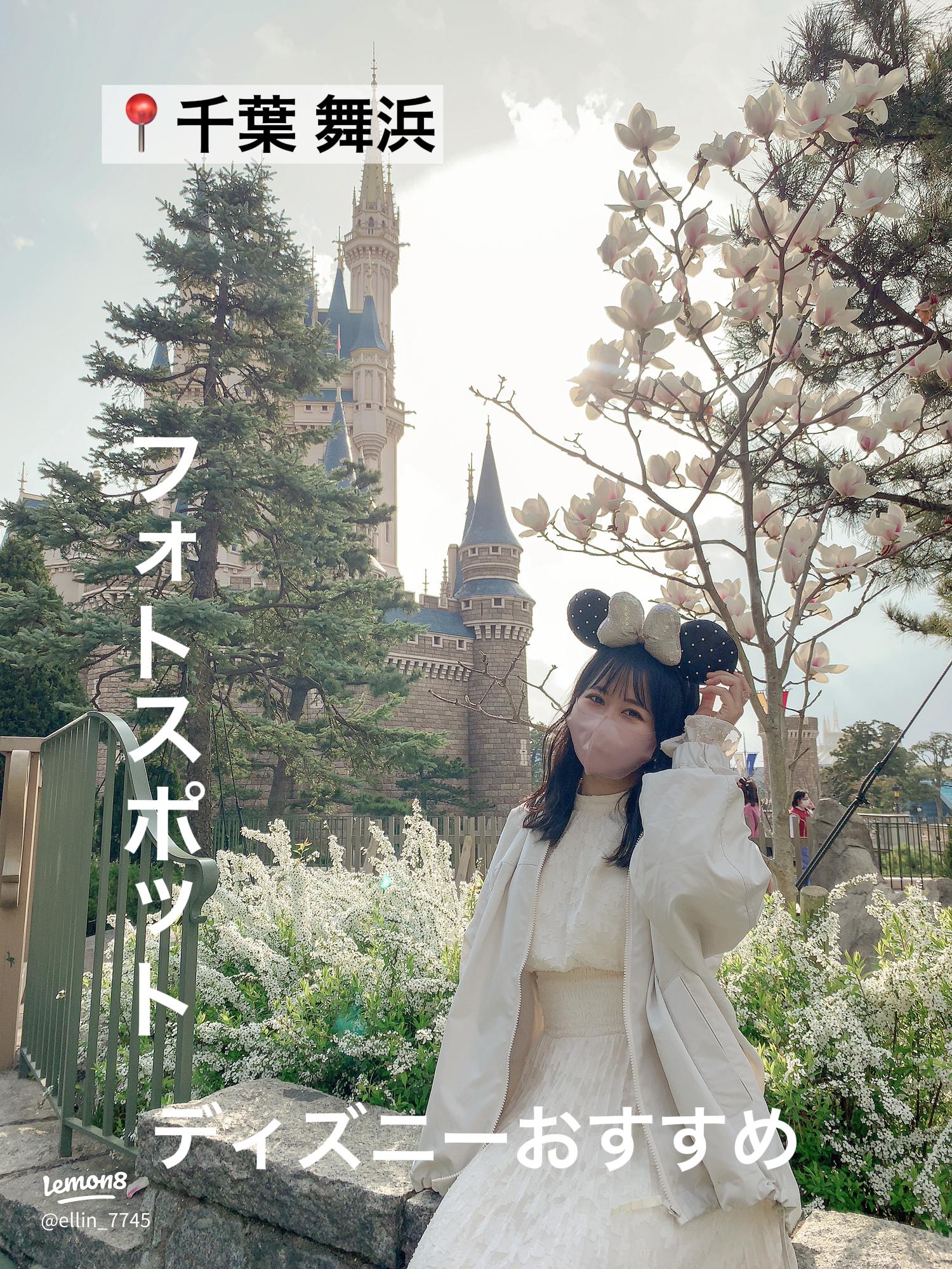 舞浜 インパしなくても楽しめる！ディズニー周辺のフォトスポット特集WE LABO