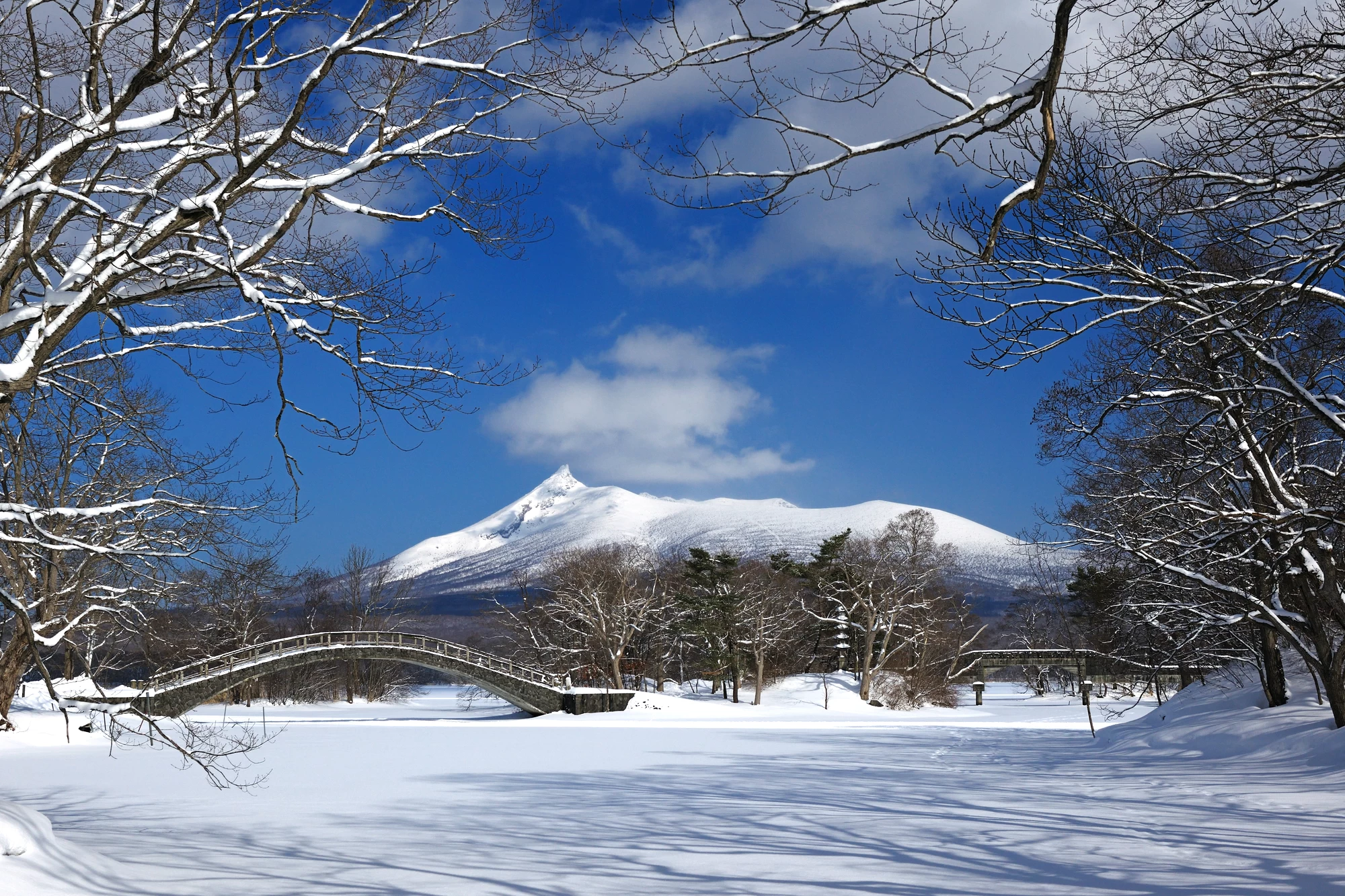 2025年版 函館観光モデルコース 車なし –
