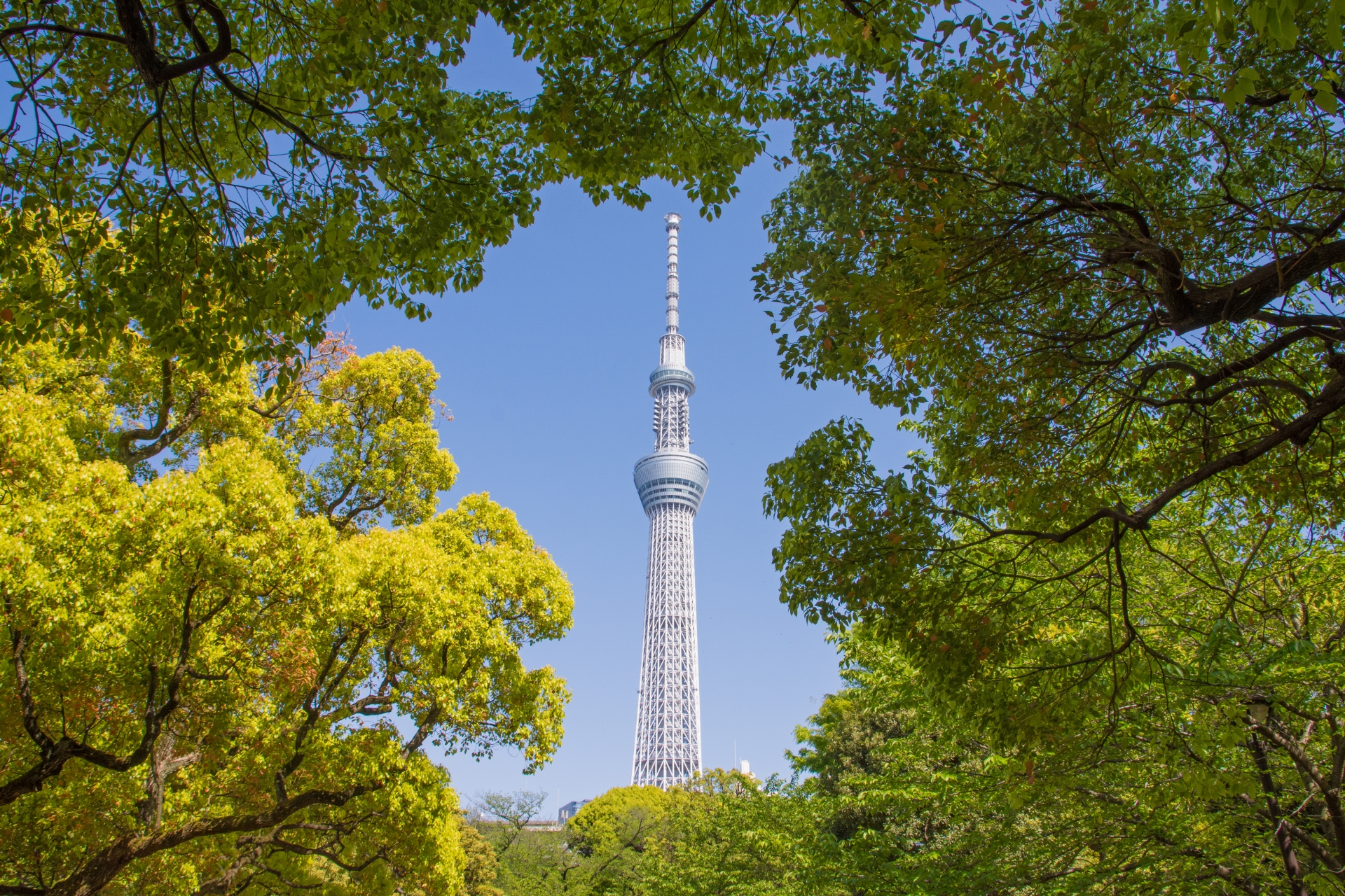 保存版 東京スカイツリーの写真撮影スポットおすすめ30選！インスタ映えする夜景スポットがわかる
