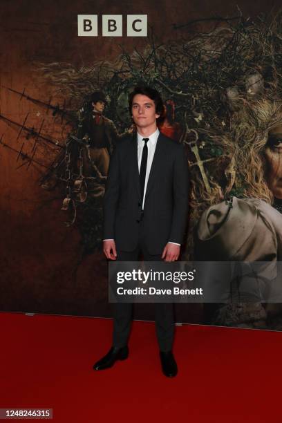 445点のフィン・ホワイトヘッドの写真と高解像度写真 - Getty